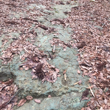 緑色の岩盤