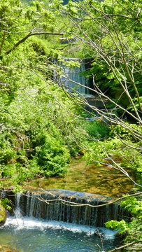 菱池谷橋(昭和47年11月架)から滝。浅野川源流
