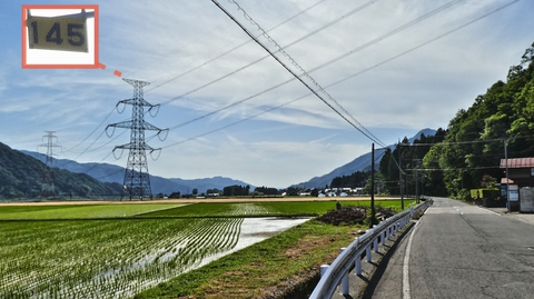 再び山を降りた加賀幹線に会う。短足の145番。すでに新俣峠の120番から25本過ぎている