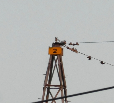 右の東金沢線は2番なので変電所横の鉄塔は1番
